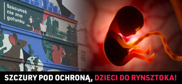 Szczury pod ochroną, dzieci do rynsztoka!
